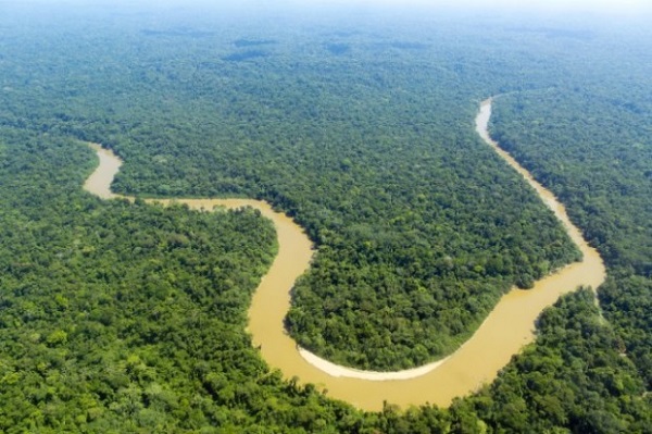 Amazon - Con sông dài thứ 2 thế giới