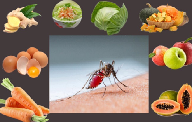 Người bị bệnh sốt xuất huyết nên ăn gì tốt cho sức khỏe?