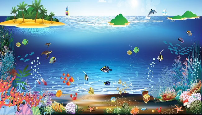 Các giải pháp cụ thể để bảo vệ môi trường biển