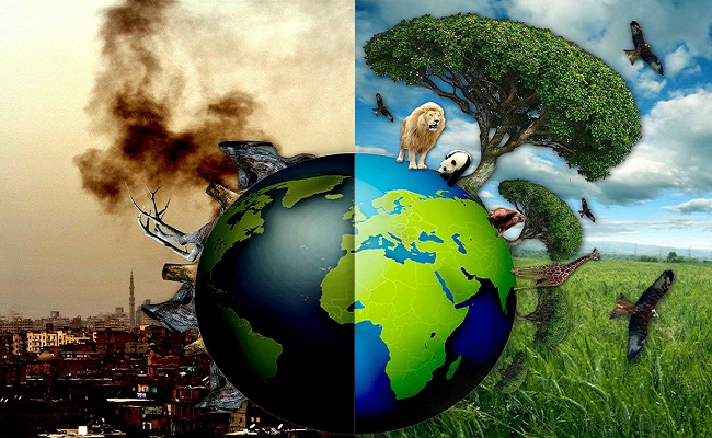 Hậu quả của ô nhiễm môi trường tới con người và tự nhiên