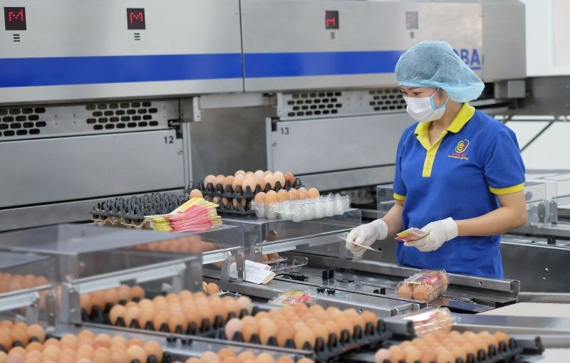 Các loại dây chuyền sản xuất