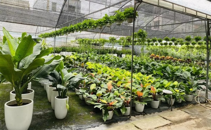 Các ý tưởng kinh doanh ở Đà Nẵng Các ý tưởng kinh doanh ở Đà Nẵng