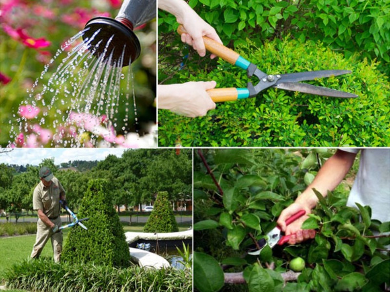 Cách kiếm tiền không khó