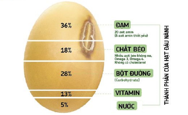 Hàm lượng các chất dinh dưỡng có trong đậu nành