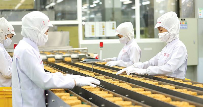 Hiểu đúng về dây chuyền sản xuất để tối ưu năng suất và chi phí