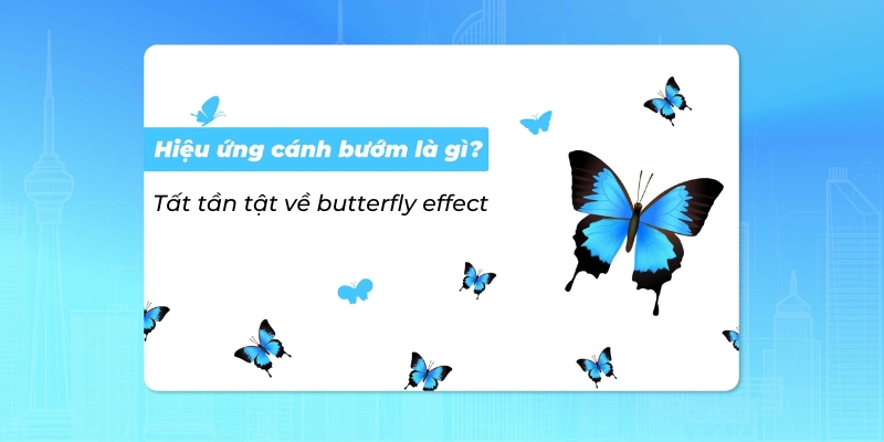 Hiệu ứng cánh bướm là gì? Tất tần tật về butterfly effect