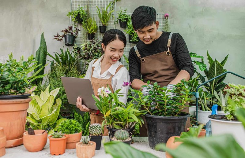 Khám phá mô hình kinh doanh cây cảnh