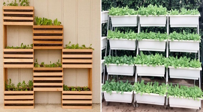 7 mô hình thiết kế vườn rau trên sân thượng đơn giản dễ làm và tiện lợi  nhất