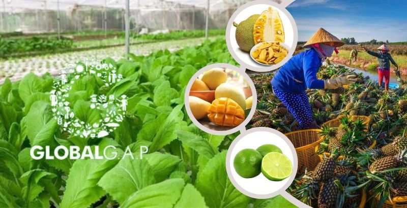 Nguồn thực phẩm sạch