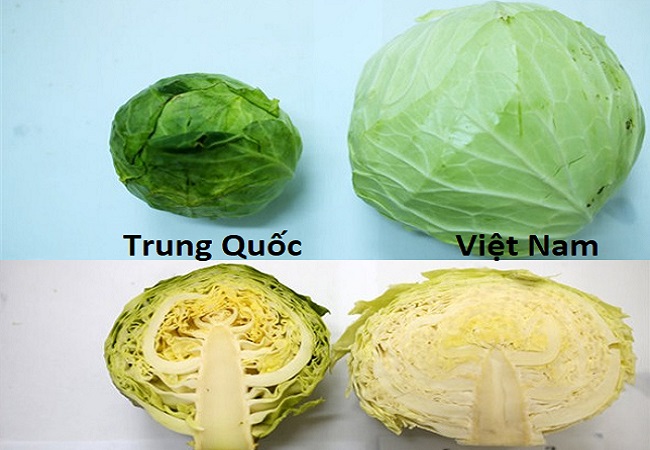 Cách nhận biết rau củ quả của Trung Quốc