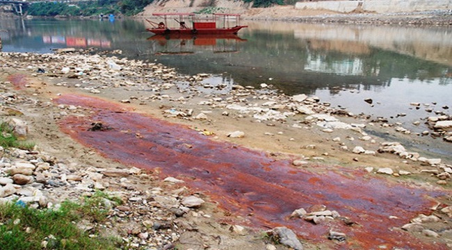 Những hậu quả của ô nhiễm môi trường đất ở Việt Nam