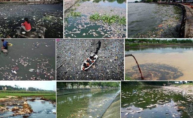 Những hậu quả của ô nhiễm môi trường nước