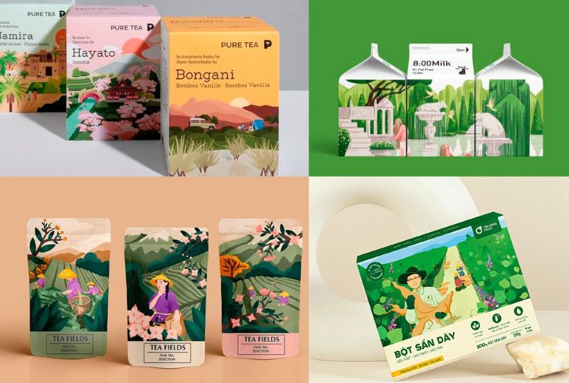 Thiết kế bao bì sản phẩm Thiết kế bao bì sản phẩm