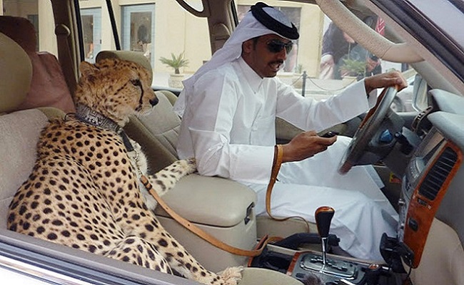 Sự giàu có của đất nước Dubai
